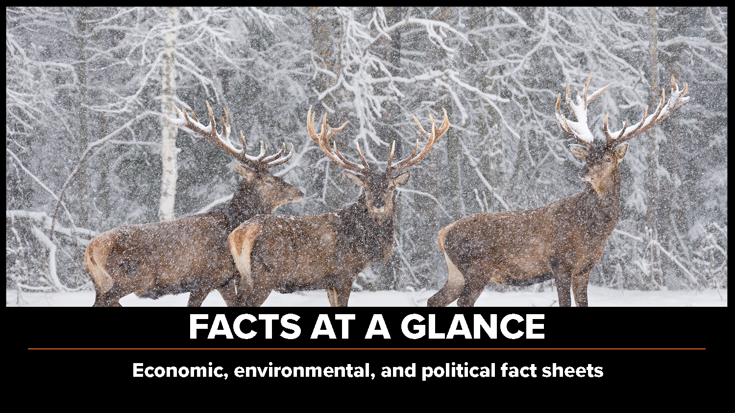 Facts At A Glance